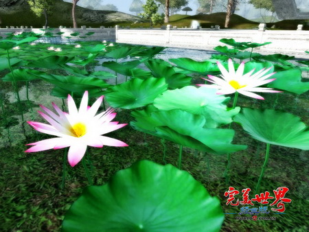 图片: 图2-仙界荷花池.jpg